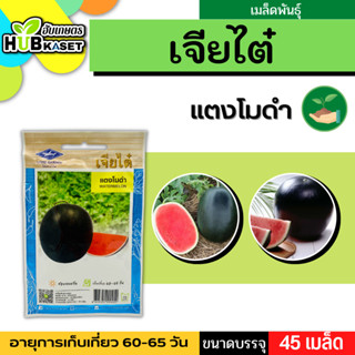 เจียไต๋ 🇹🇭 แตงโมดำ ขนาดบรรจุประมาณ 45 เมล็ด ระยะเก็บเกี่ยว 60-65 วัน