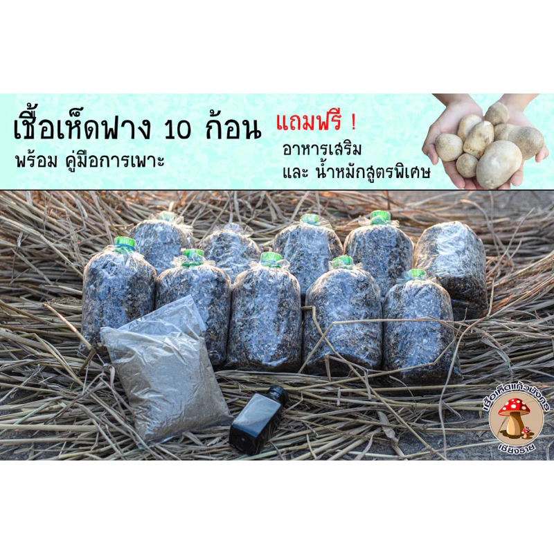 ชุดเห็ดฟาง 10 ก้อน แถมอาหารเสริมและน้ำหมัก กดสั่งครั้งละไม่เกินสองออเดอร์นะคะ
