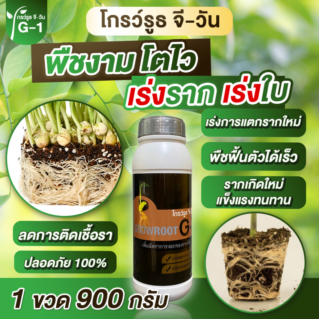 ยาเร่งราก โปร 4 ขวด  แบบผง โกรว์รูธ จี-วัน เร่งราก เร่งใบ น้ำยาเร่งราก กระตุ้นการแตกใบอ่อนต้นสมบูรณ์ - รูปที่ 2