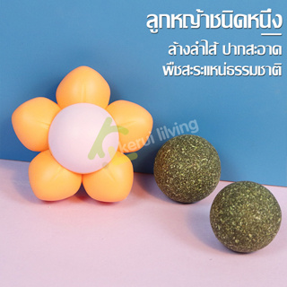 บอลแมว สมุนไพรแมว กัญชาแมว ลูกบอลแคทนิป รูปดอกไม้ แคทนิปแมว catnip ball มี 3 สีให้เลือก ของเล่นแมวเลีย ของเล่นแคทนิป