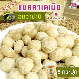 แมคคาเดเมีย อบวาซาบิ 5 กระปุก แมคคาเดเมียอบ ถั่วแมคคาเดเมีย macadamia แมคคาเดเมีย วาซาบิ แมคาเดเมีย ธัญพืช ขนมติดบ้าน