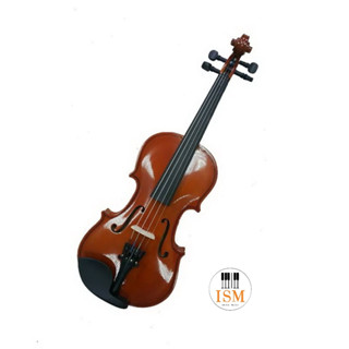 Aileen Antonius ไวโอลิน ขนาด 4/4 Violin 4/4 รุ่น VG-001