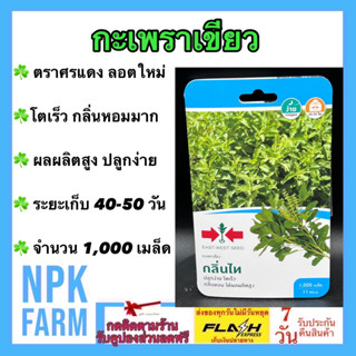 ผักซอง ศรแดง กะเพราเขียว กลิ่นไทย จำนวน 1,000 เมล็ด/ซอง กะเพรา ลอตใหม่ งอกดี ปลูกง่าย โตเร็ว กลิ่นหอม ผลผลิตสูง