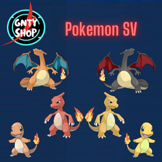 Pokemon All Charizard Evolution &amp; Tera Raid Events Shiny/Non-Shiny