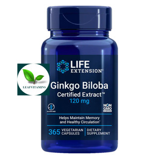 Life Extension Ginkgo Biloba Certified Extract™ 120 mg / 365 Vegetarian Capsules