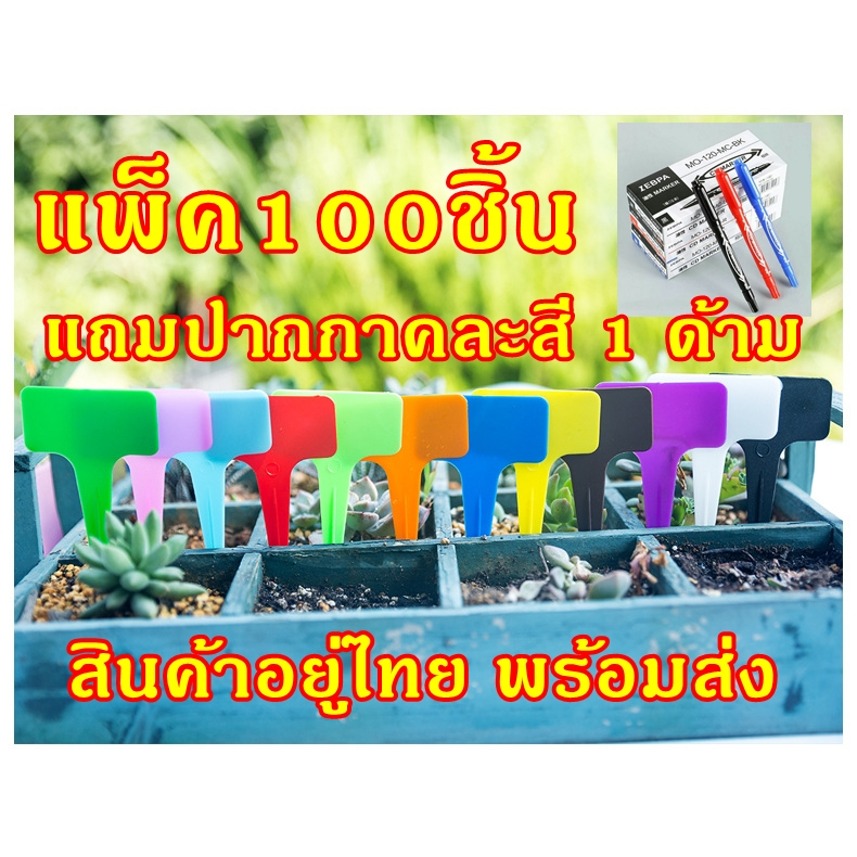 ป้ายชื่อต้นไม้ แพ็คละ 100 ชิ้น แบบหนา 0.9 มม แถมปากกาคละสี1ด้าม (พร้อมส่ง)