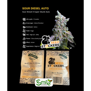 เมล็ดกัญชา Sour Diesel (Auto) - Seed Stockers