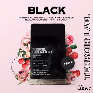 เมล็ดกาแฟ ”BLACK” 250 กรัม เมล็ดกาแฟคั่ว By Terroir Lab. Jasmine Flowers, Lychee, White Rose