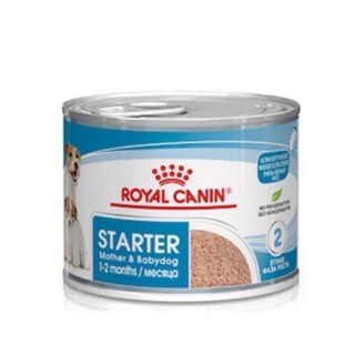 (3กระป๋อง) Royal canin Mini Starter  กระป๋อง 195g.