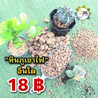 หินภูเขาไฟ // Pumice Stone เป็นวัสดุปลูก รองก้นกระถาง แคคตัส กระบองเพชร