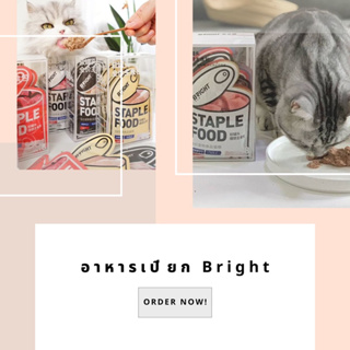 อาหารเปียก Bright (Staple food : เป็นอาหารหลัก)