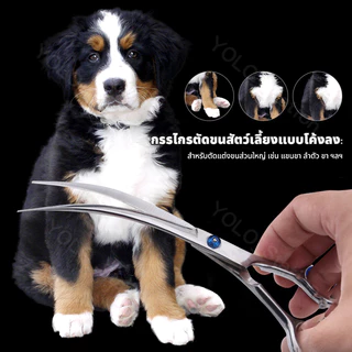 🚚พร้อมส่ง🚚6 นิ้ว กรรไกรตัดขนสุนัขขนแมว กรรไกรโค้งขนหมา ตัดขนสัตว์ แบบโค้งลงโค้งขึ้น จับถนัดมือ มีความคม