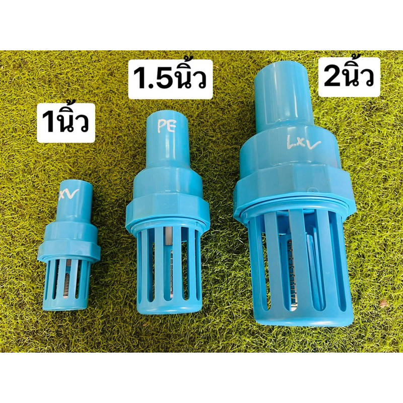 หัวกะโหลก PVC ฟ้า 1นิ้ว 1.5นิ้ว 2นิ้ว หนา แบบดี Thai Foot Valve ฟุตวาล์ว แบบท่อแป๊ป แบบสวม แบบสวมท่อแปป กดเลือกด้านล่าง