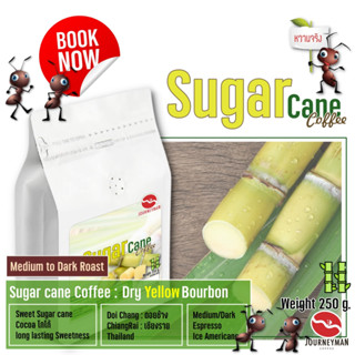 JourneyMan SugarCane คั่วกลางค่อนเข้ม 250 g