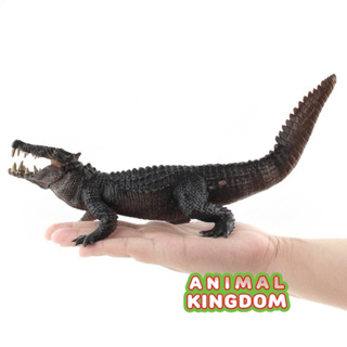 Animal Kingdom - โมเดลสัตว์ จระเข้ เทาดำ ขนาด 25.00 CM (จากสงขลา)