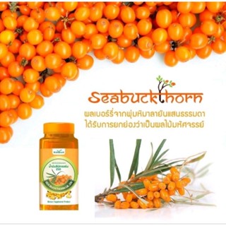 Sea Buckthorn (ซีบัคธอร์น) : น้ำมันซีบัคธอร์น 250 (บรรจุ30แคปซูล)