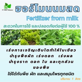 ฮอร์โมนนมสด ฮอร์โมนบำรุงพืช บำรุงใบ บำรุงดอก ใช้ได้กับผักและสมุนไพร ทุกชนิด