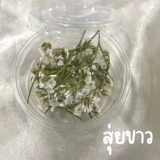 ดอกไม้แห้ง สำหรับงานDIY ดอกไม้แห้งมีหลายชนิดพร้อมส่งไม่มีขั้นต่ำ
