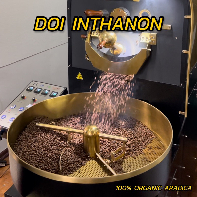 Doi Inthanon Coffee Beans เมล็ดกาแฟดอยอินทนนท์-ดอยผาหมอน อาราบิก้า 100%