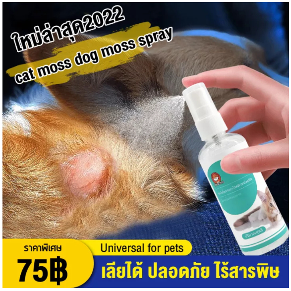 ซื้อ 🐶แนะนำโดยสัตวแพทย์😸ทสเปรย์รักษาขี้เรื้อน ยาทาขี้เรื้อน ยาขี้เรื้อนหมา ยาแก้ขี้เรื้อน เชื้อราแมว100ml รักษา โครแมว