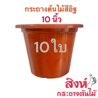 กระถางสีอิฐ 10 นิ้ว 10 ใบ