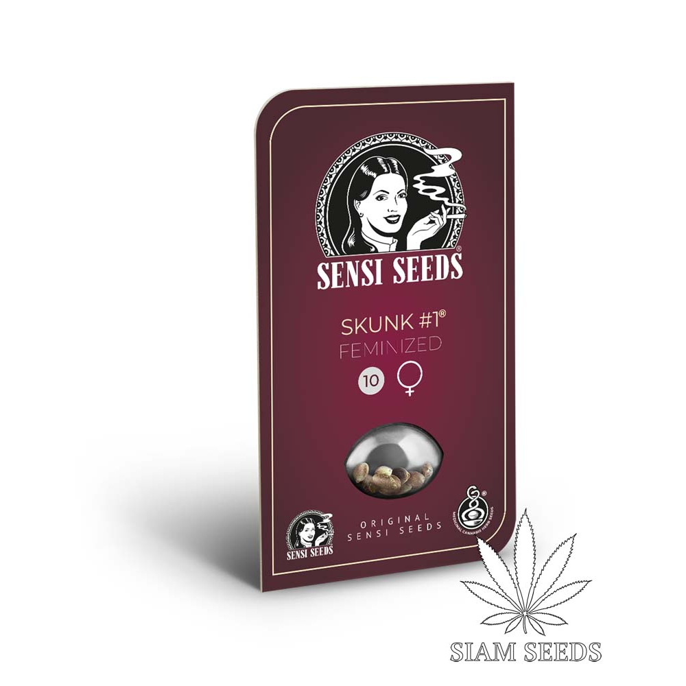 เมล็ดกัญชา Sensi Seeds Skunk #1 Fem Cannabis Seeds (Pack of 3)