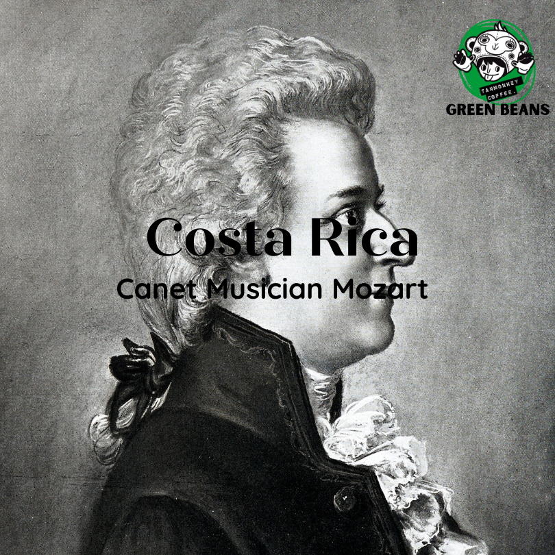 สารเมล็ดกาแฟ Costa Rica Canet Beethoven/ Mozart