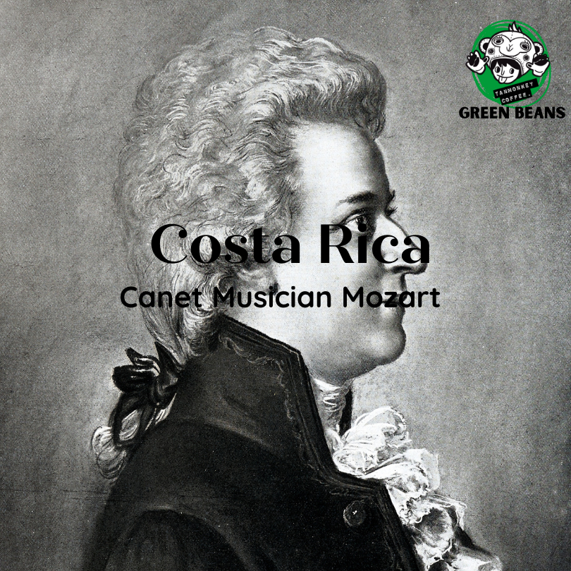 สารเมล็ดกาแฟ Costa Rica Canet Beethoven/ Mozart/Chopin