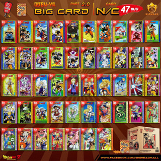 โอเดนย่า BIG CARD PART2.0 N