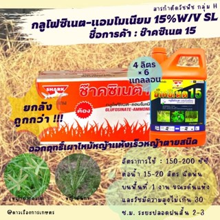 ช๊าคซิเนต 15 (ยกลัง 4L.× 6 แกลลอน) กลูโฟซิเนต-แอมโมเนียม  ลิตร สารกำจัดวัชพืชหลังงอกแบบไม่เลือกทำลาย กำจัดวัชพืชทุกชนิด