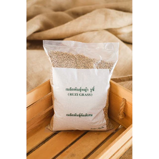เมล็ดพันธุ์หญ้ารูซี่ 1 kg เกรดส่งออก Ruzi Grass จาก ไร่วิทยา อาหารสัตว์ใหญ่ หญ้าเลี้ยงวัวควายแพะแกะไก่