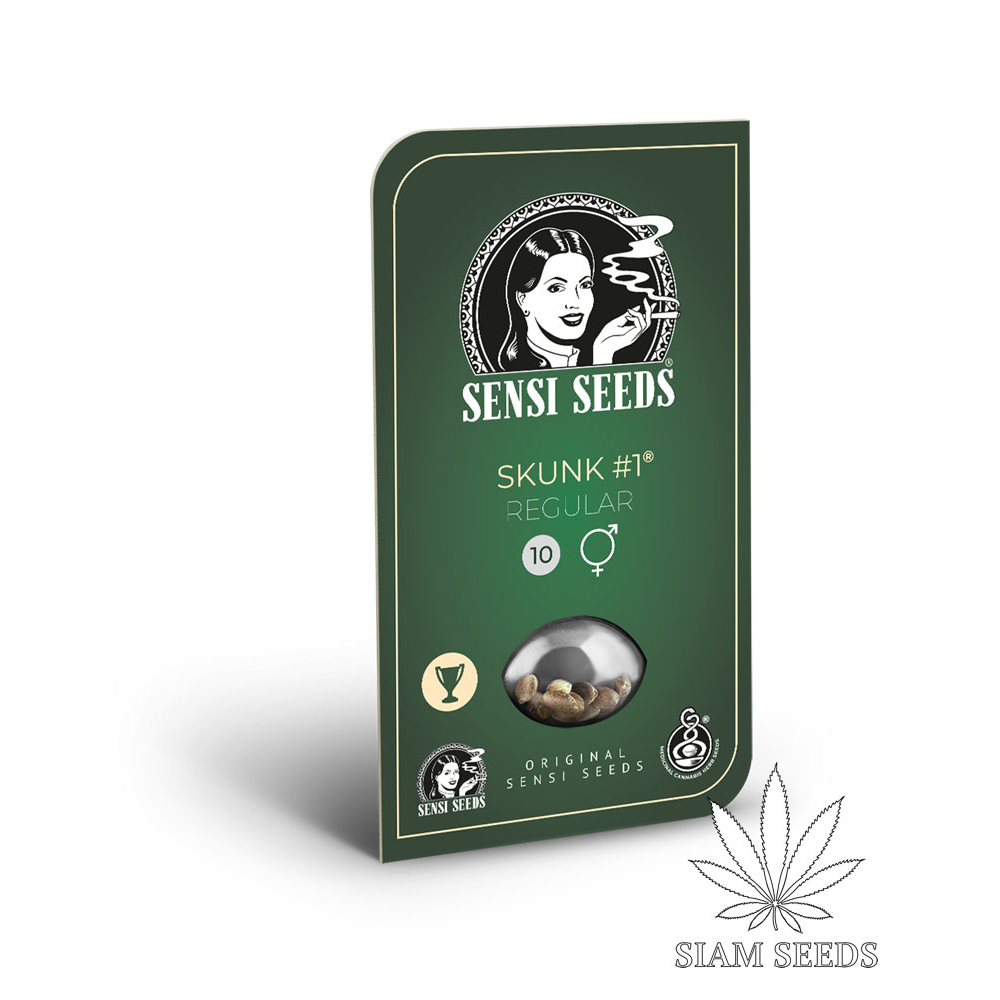 เมล็ดกัญชา Sensi Seeds Skunk #1 Regular Cannabis Seeds (Pack of 10)