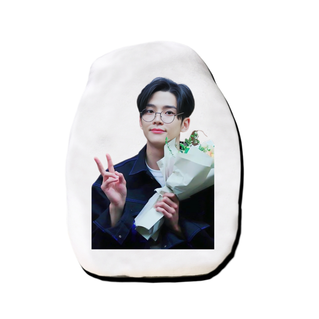 หมอนตุ๊กตาไดคัท รูปคน สั่งทำ ไอดอล ดารา น้กร้อง สินค้าแฟนเมด โรอุน Rowoon