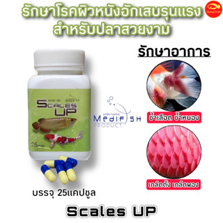 ยาปลาสวยงาม (ติดเชื้อแบคทีเรีย บริเวณผิวหนังชนิดรุนแรง) MEDIFISH SCALES UP