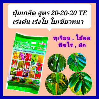 ปุ๋ยเกล็ด  20-20-20  ปุ๋ยเร่งต้น 1กิโลกรัม ช่วยบำรุงต้น ใบ ดอก ผล เร่งการเจริญเติบโต ใช้ได้ทั้งใน ผัก ผลไม้ ข้าว ใบหนา