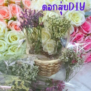 ซองละ20บาทดอกไม้แห้ง ดอกแคสเปียแห้ง ดอกสุ่ยแห้ง ดอกสเตติสแห้ง ดอกไม้แห้งหลายชนิดนำไปตกแต่งDIY