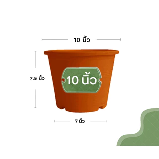 กระถางต้นไม้ 10 นิ้ว กระถางพลาสติก กระถางต้นไม้พลาสติก สีดำเงา สีขาว สีอิฐ (รุ่นหนา)