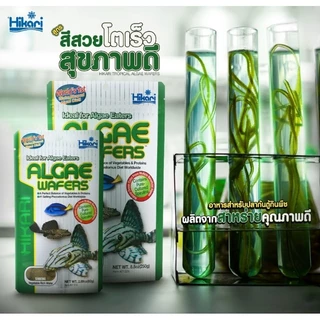 ล๊อตใหม่ Hikari Tropical Algae Wafers อาหารปลา ซัคเกอร์ ปลาแพะ ปลาหมู
