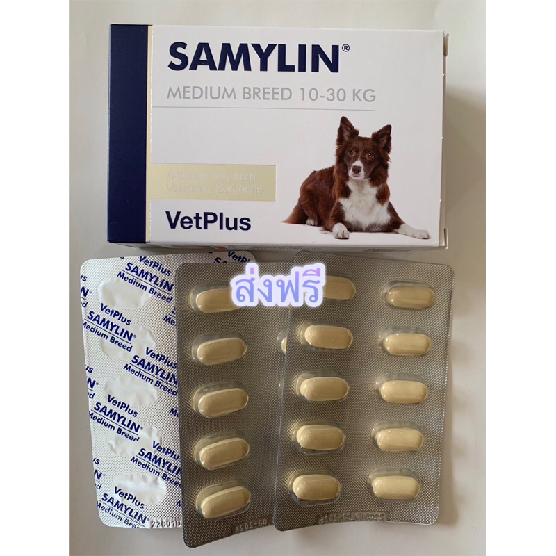 Samylin medium breed 10-30 KG วิตามินบำรุงตับสำหรับสุนัขขนาดกลาง