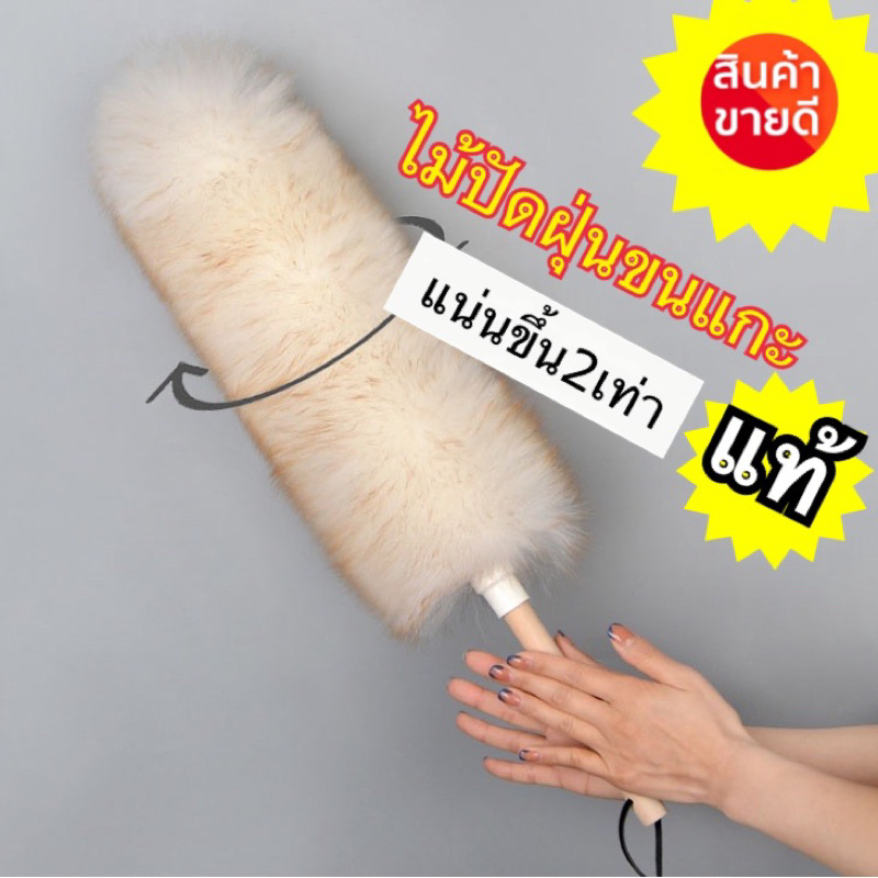 ไม้ปัดฝุ่นขนแกะ V2 แบบอัพเกรดขน2เท่า นุ่ม แน่น ปัดฝุ่นรถ ในบ้านได้อย่างดี 3size เล็ก กลาง ใหญ่ สุดคุ้ม พร้อมส่งจากไทยจ้า