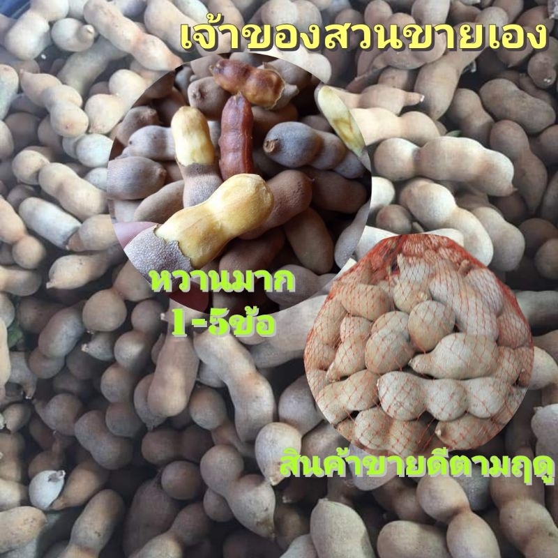 รูปภาพ 5