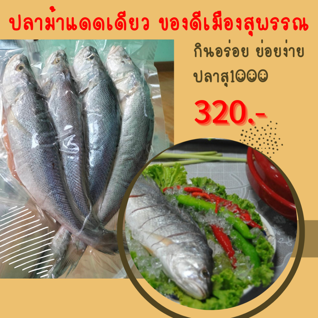 ขายถูก ส่งไวมาก ปลาม้าแดดเดียว ปลาแดดเดียว ปลาจากแหล่งธรรมชาติ ปลาเนื้อแน่นๆสดใหม่ สะอาด ขนาด 2-4 ตัว/กก.