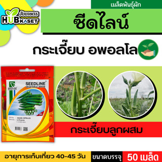 ซีดไลน์ 🇹🇭 กระเจี๊ยบลูกผสม อพอลโล ขนาดบรรจุประมาณ 50 เมล็ด อายุเก็บเกี่ยว 40-45 วัน