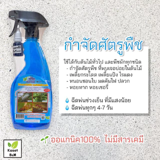 สเปรย์ช่องาม ปุ๋ยฉีดพ่นทางใบ 500 ml. ปุ๋ยฮอร์โมนพืชพร้อมใช้ ผลิตใหม่
