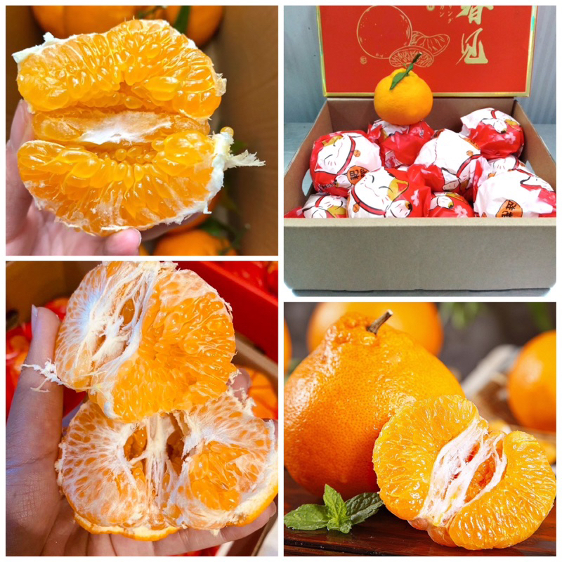 ส้มจุก ส้มมงคล เกล็ดส้มใหญ่มาก ฉ่ำปากสุดๆ อร่อยพร้อมส่ง️(ยกลัง4กิโลกรัม ...