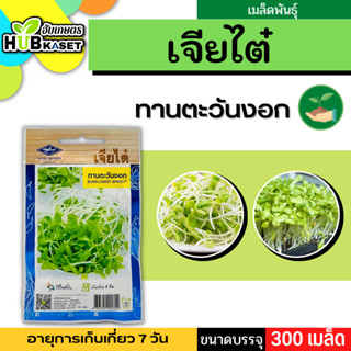 เจียไต๋ 🇹🇭 ทานตะวันงอก ขนาดบรรจุประมาณ 300 เมล็ด อายุเก็บเกี่ยว 7 วัน