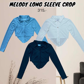 HH496🤍MELODY LONG SLEEVE CROP