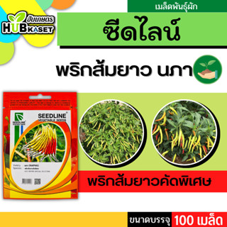 ซีดไลน์ 🇹🇭 พริกส้มยาวคัดพิเศษ นภา ขนาดบรรจุประมาณ 100 เมล็ด