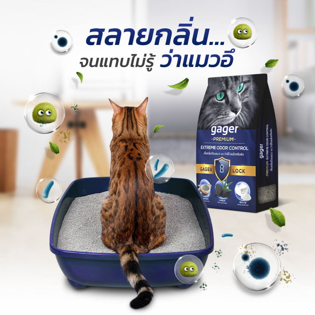 รูปภาพ 4