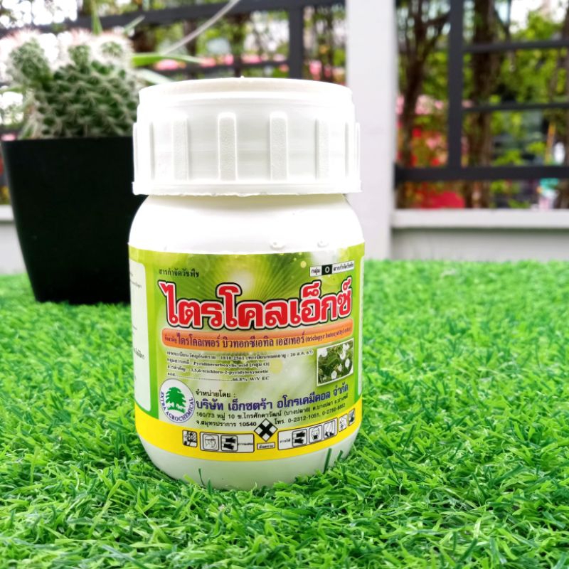 ยากำจัดตอไม้ ฆ่าตอไม้ต้นไม้รากไม้  ไตรโคลเพอร์100ml